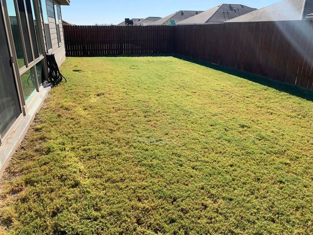 All Photos for Scalpel Lawn Service in Temple, TX