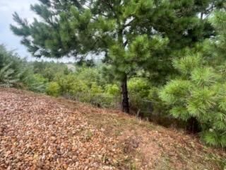 All Photos for Oviedo Land & Garden in Bastrop, TX