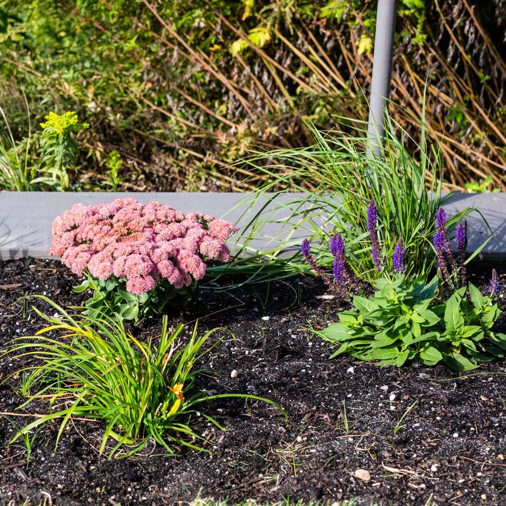 Landscaping for Elegant Lawns & Landscaping in Inwood, NY