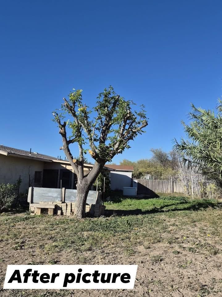 All Photos for D & D Handyman Services LLC in Cottonwood, AZ