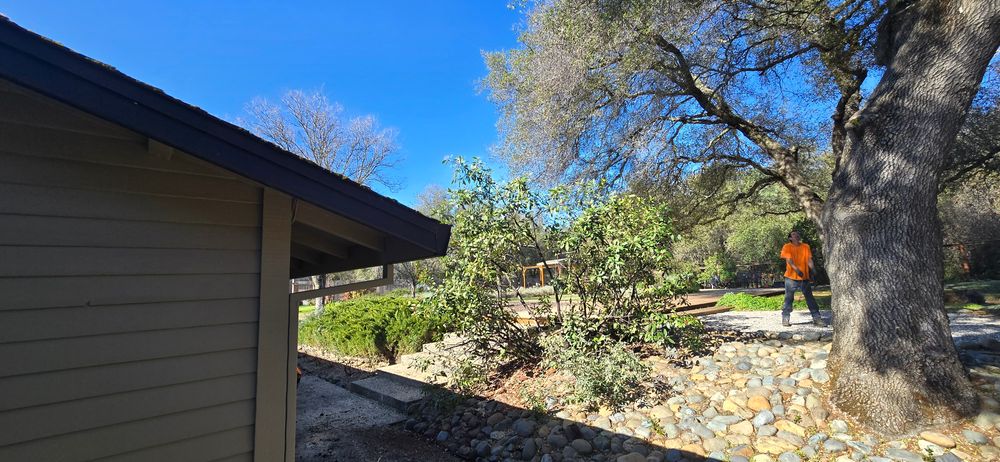 All Photos for George Staddan's Professional Tree Care in Placerville, CA