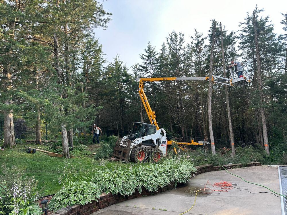 Our Tree Removal service helps you clear unwanted trees from your property, ensuring safety and aesthetic appeal. Just like our efficient services, we deliver timely and professional results. for Pro-Care LLC in Hudson, WI