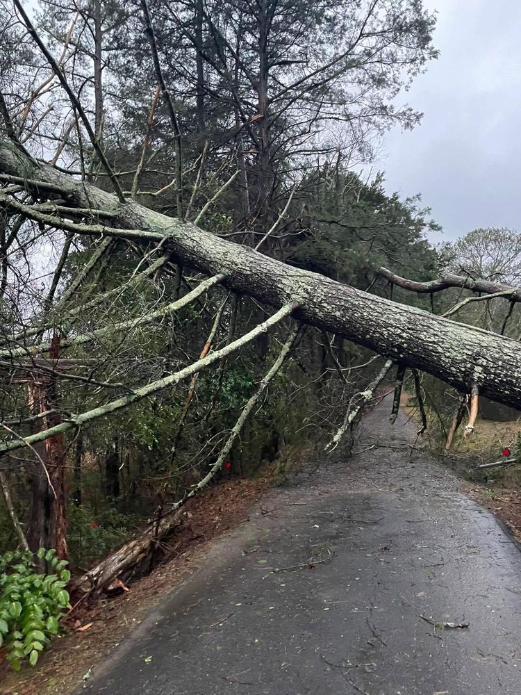 All Photos for Chipper's Tree Service  in Fort Payne, AL