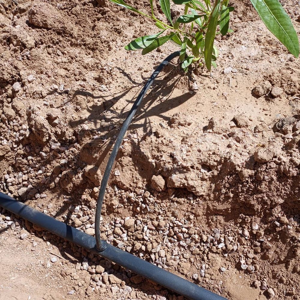 All Photos for CRAJE Landscaping LLC in Mesa, AZ