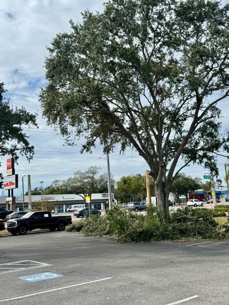 All Photos for Shoreside Property Services in Apollo Beach, FL