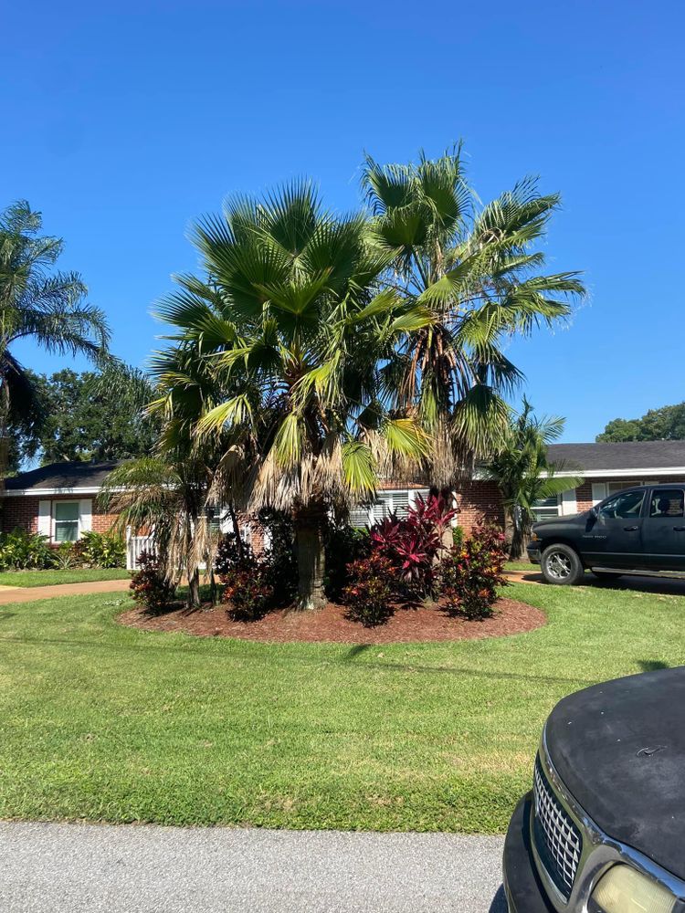 Fall and Spring Clean Up for Efficient and Reliable Tree Service in Lake Wales, FL