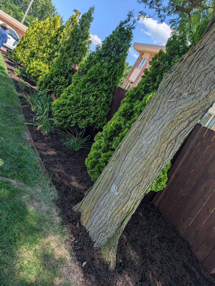 All Photos for Urban Green Lawncare & Snow Removal in Lakeville, MN