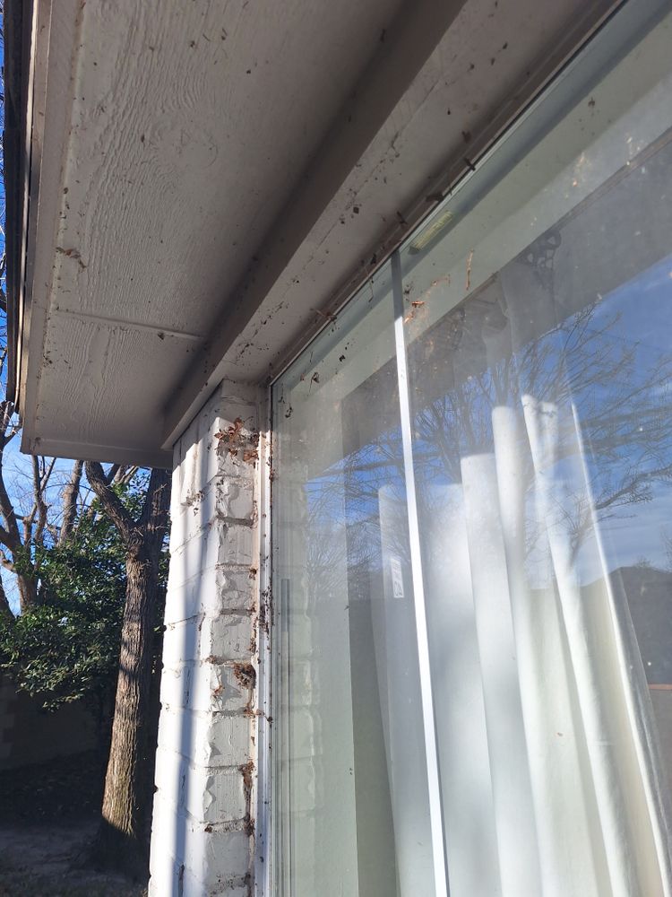 All Photos for Connected Exterior Cleaning in Dallas, TX