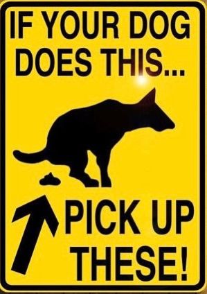 All Photos for River City Scoopers in Midlothian, VA