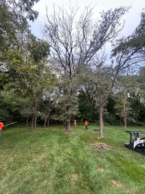 All Photos for Cross Family Tree Service in Kearney, MO