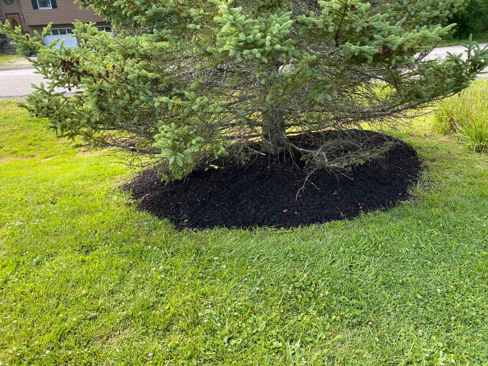 Landscaping for Cuellar Lawn Care in Highland , NY 