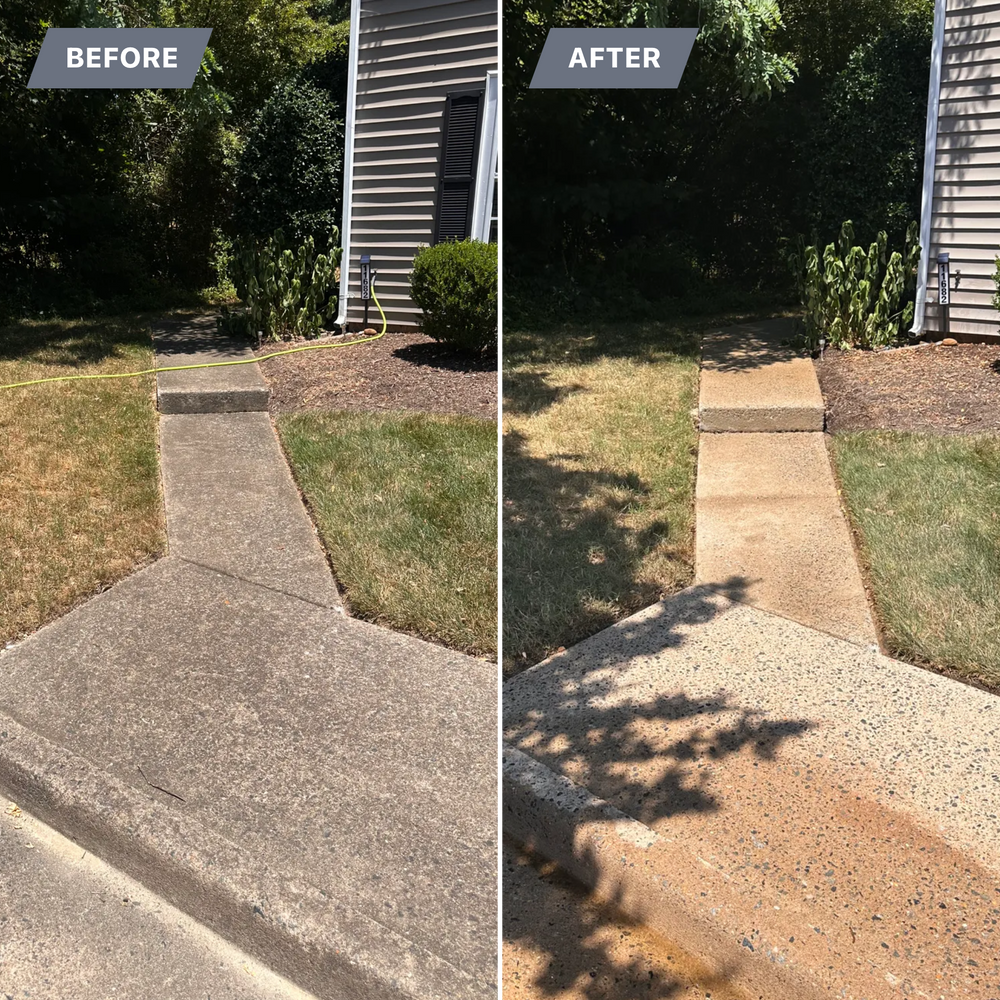 All Photos for LeafTide Solutions in Richmond, VA