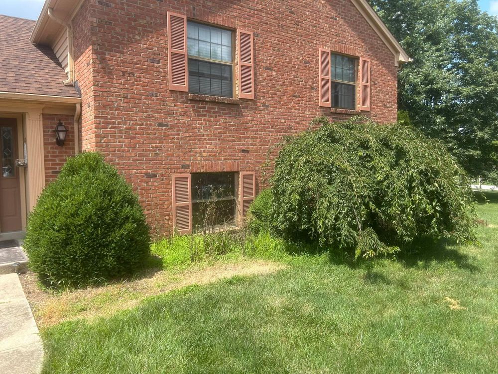 All Photos for High Garden Landscapes in Dayton, OH
