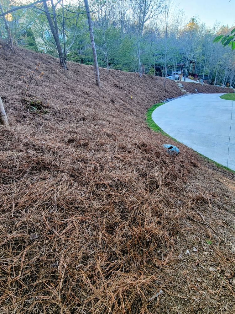 Mulch for C4 TrueVision Renovations in Asheville, NC