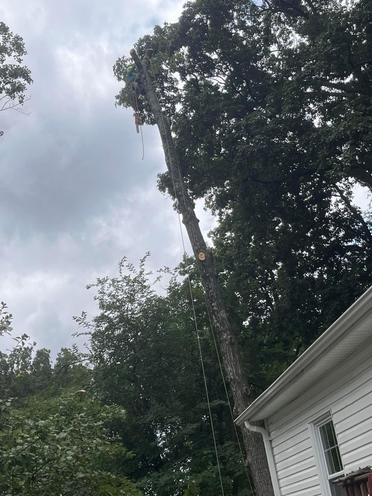 Our Storm CleanUp service quickly and efficiently removes fallen trees and debris from your property after a storm, ensuring safety and restoring the beauty of your landscape. for Ricky's Tree Service & Property Care in Orange, VA