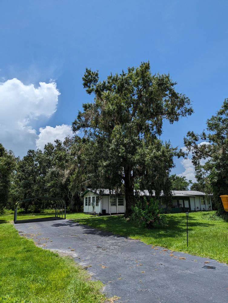 All Photos for Regal Tree Service and Stump Grinding in Wauchula, FL