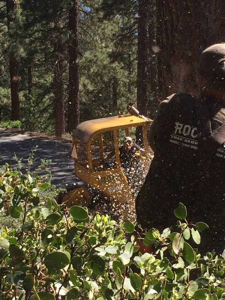 Tree Removal for Rockwood Tree Service in Incline Village,  NV