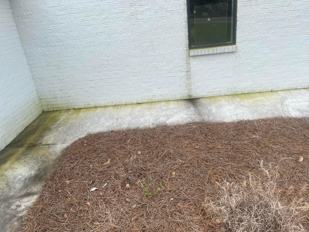 All Photos for All-Star Lawn Care & Soft Washing in Mobile, AL