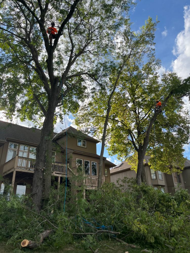 All Photos for Cross Family Tree Service in Kearney, MO