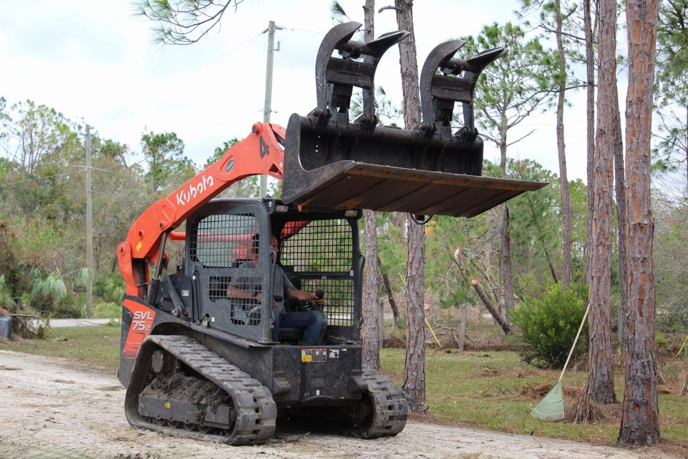 Tree Removal for American Tree Masters in Alvin, TX