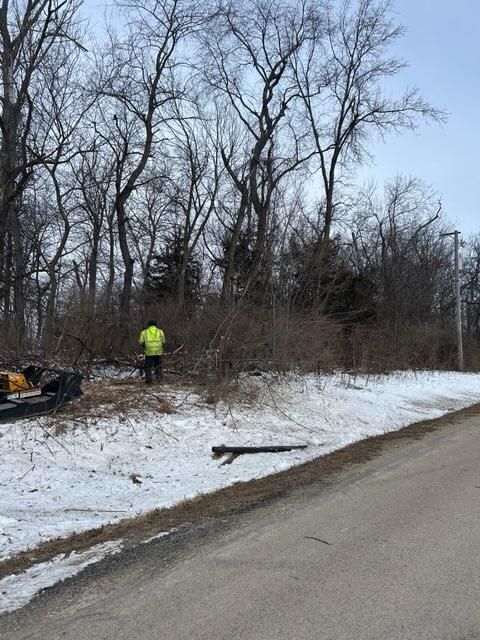 All Photos for Fransen's Tree Service  in Freeport, IL