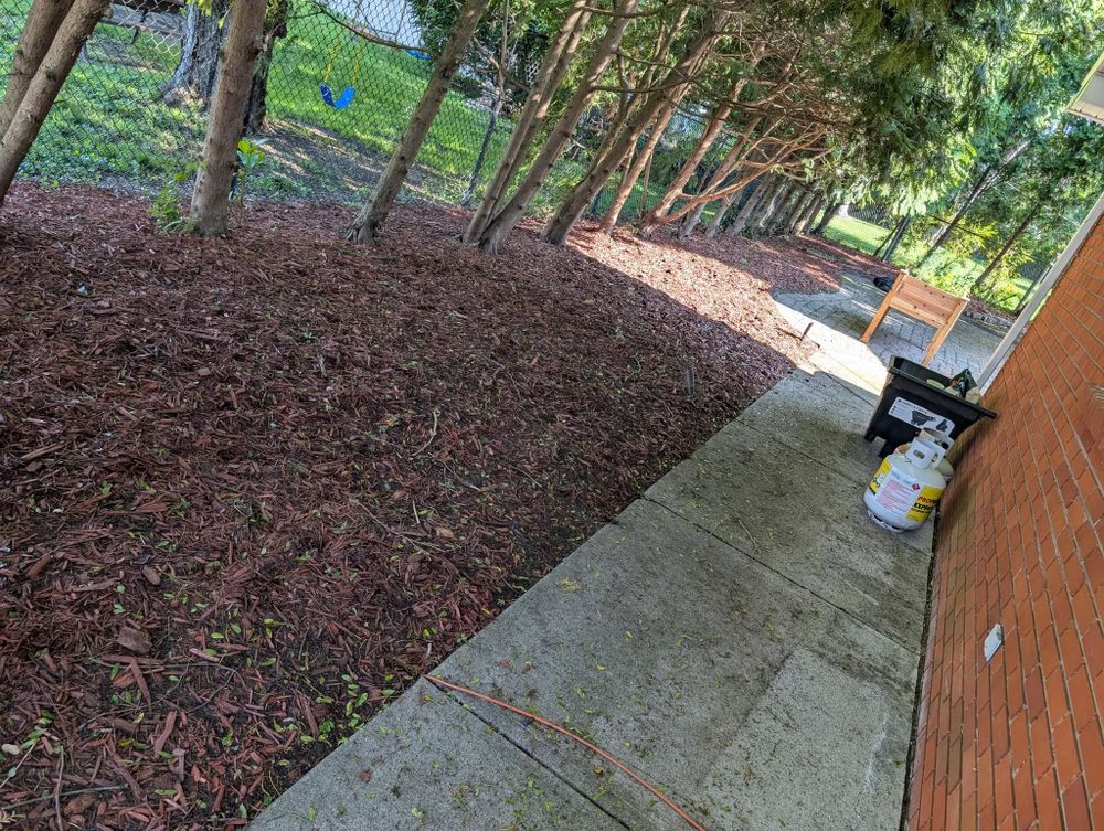 Our Fall Clean Up service ensures your yard stays pristine, with leaf removal, lawn aeration, and debris clearing. Prepare your landscape for winter's challenges while maintaining a healthy and beautiful outdoor space. for Knapps Landscaping and Lawn Care in Marion, OH