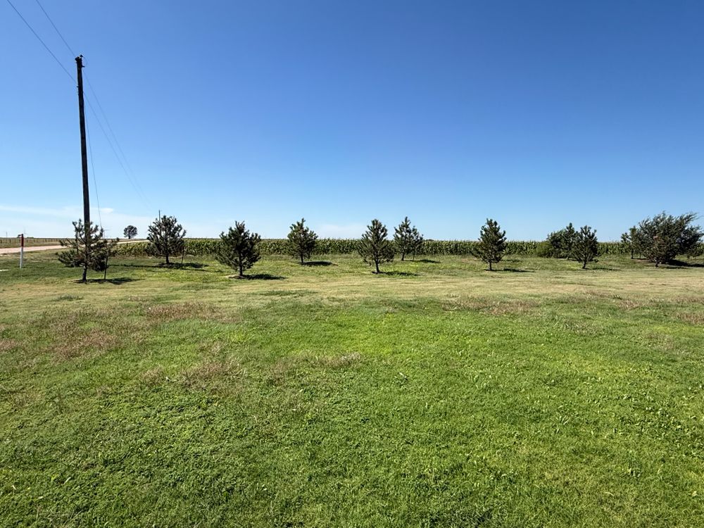 All Photos for R&J Hydromulch in Booker, TX