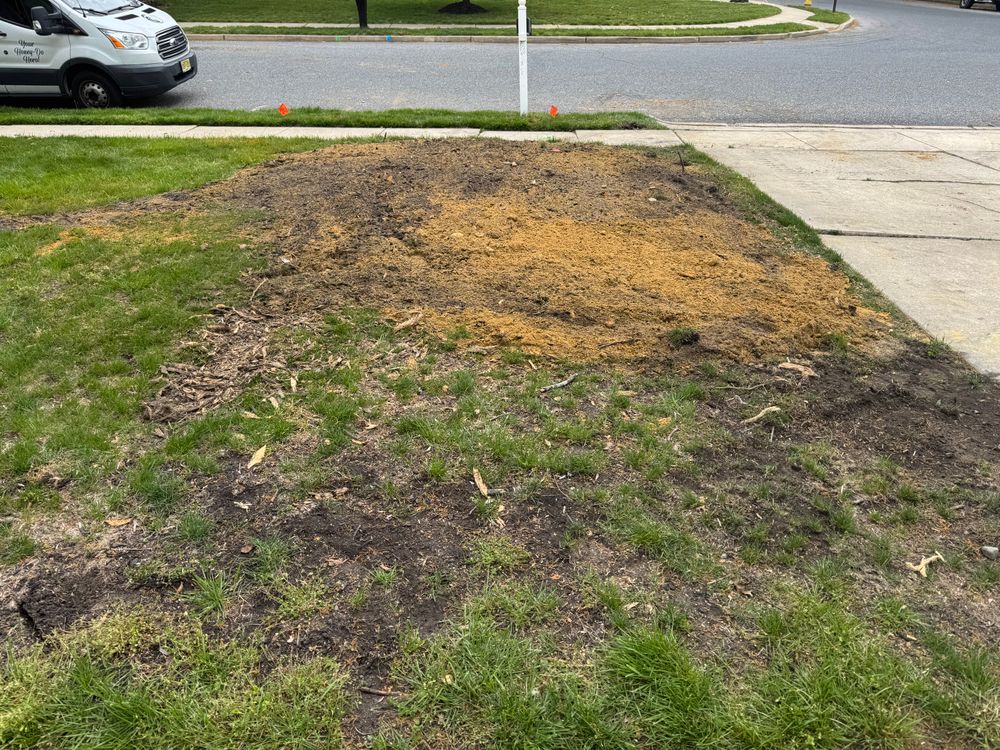 All Photos for Jersey Drain Masters in Williamstown, NJ