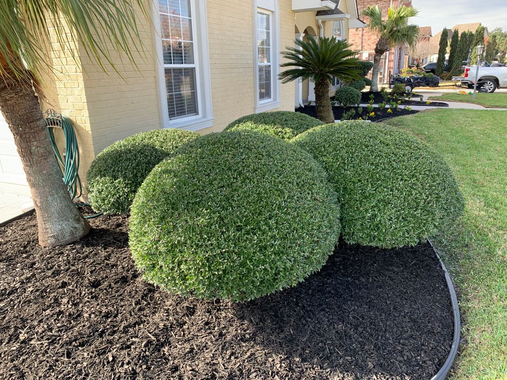 Our Shrub Trimming service is a great way to keep your shrubs looking their best. We'll trim them into shape and make sure they're healthy and thriving. for Jay C’s Touch Landscaping & Pressure Washing Services LLC in Marrero, LA