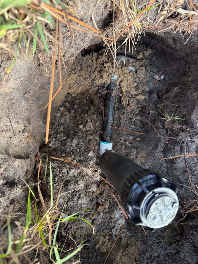 All Photos for Pavone Irrigation in Spring Hill, FL