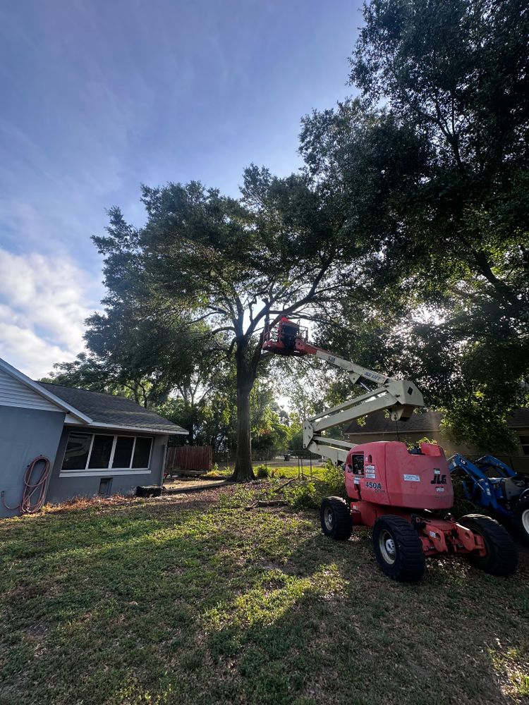 All Photos for Orange Cypress Land Services in DeLand, FL