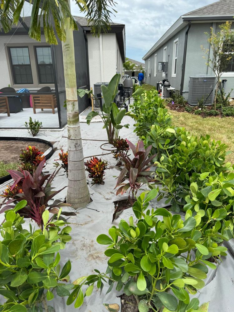 All Photos for Shoreside Property Services in Apollo Beach, FL