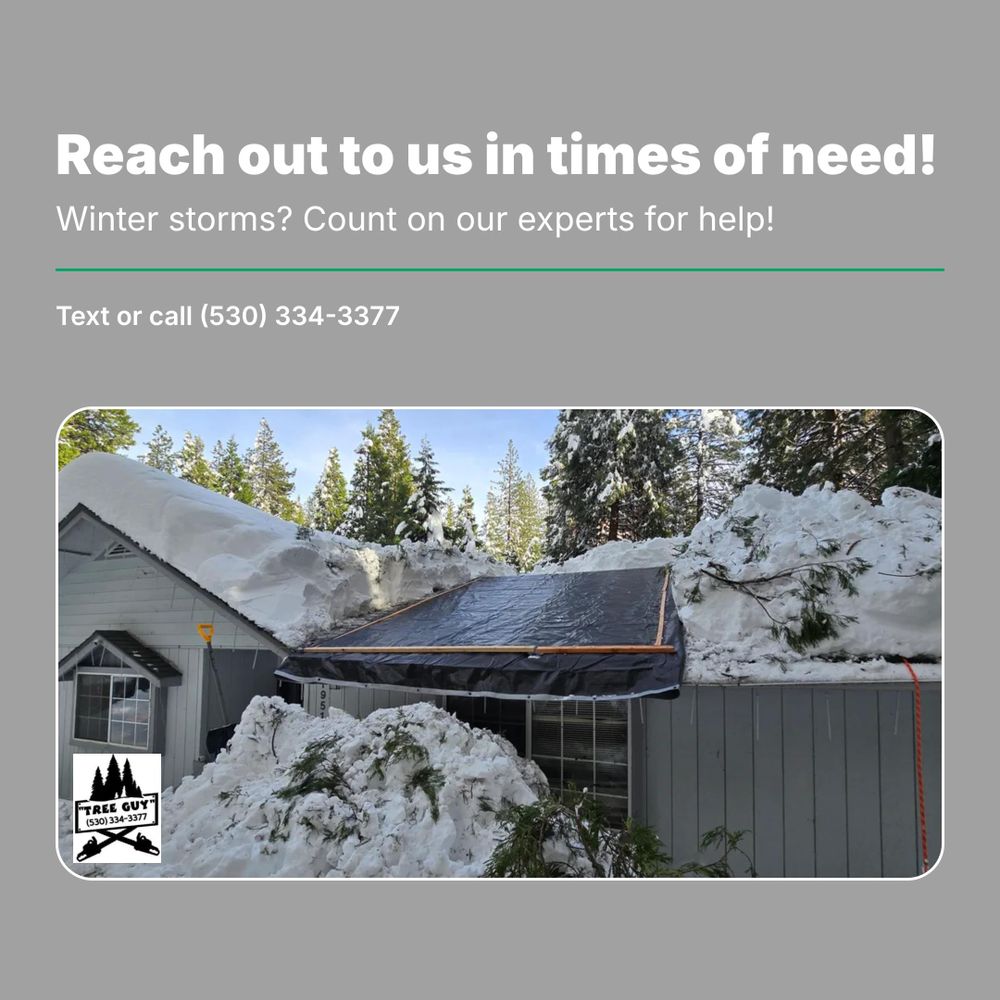 All Photos for George Staddan's Professional Tree Care in Placerville, CA