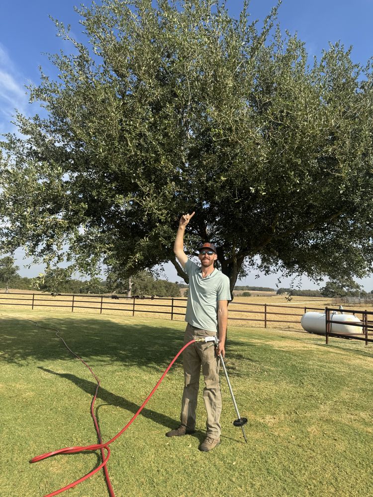 All Photos for Braun Tree Service in Floresville, Texas