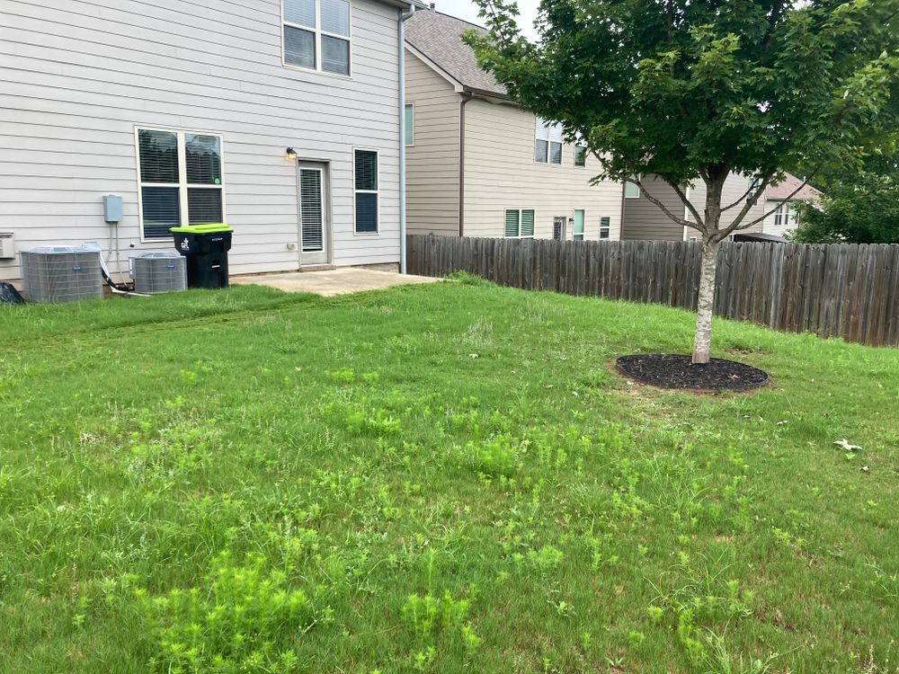 All Photos for Aries Lawnscapes in Atlanta, GA