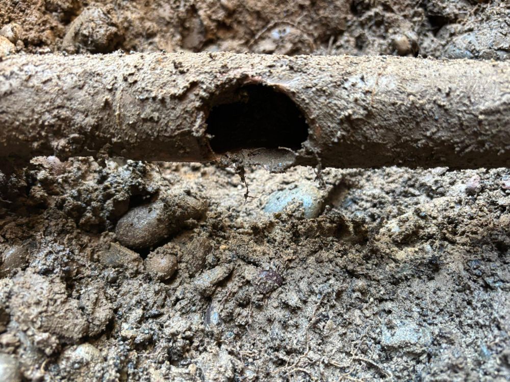 All Photos for Falls Property Services  in Idaho Falls, ID