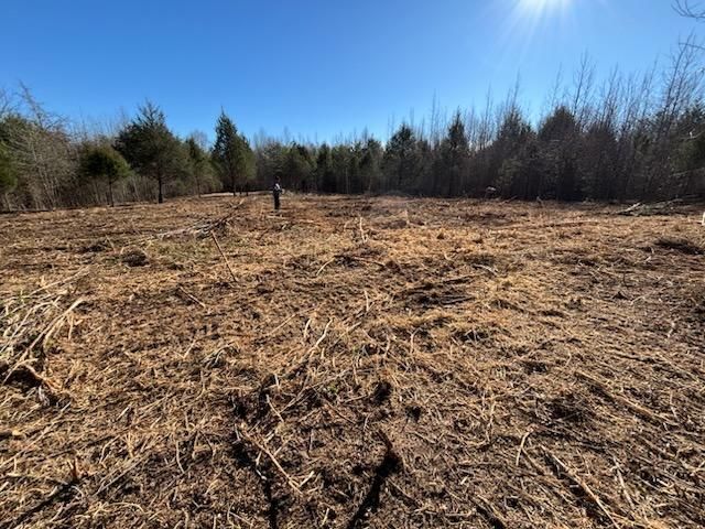 Enhance your property's charm with our Curb Appeal for Real Estate service. We offer professional forestry mulching, ensuring a pristine landscape that impresses potential buyers and increases property value effectively. for Carolina Construction Services in Woodleaf, NC