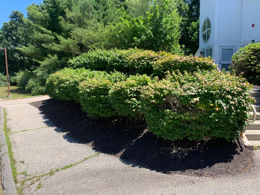 All Photos for Murray Mowing and More in Ashaway, RI