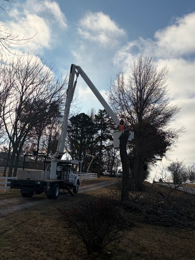 All Photos for Cross Family Tree Service in Kearney, MO