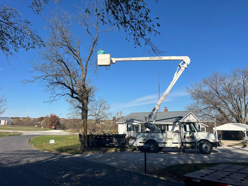 All Photos for Baker Professional Services LLC in Shelbina, MO