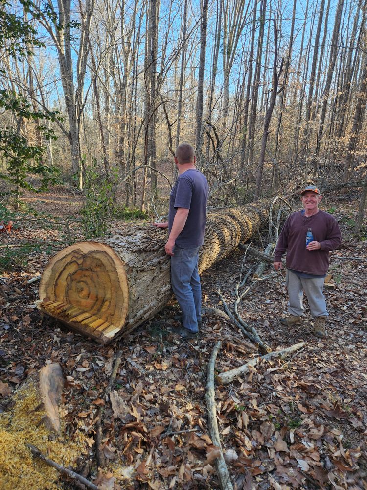 All Photos for Smith Tree Experts in Palmyra, VA
