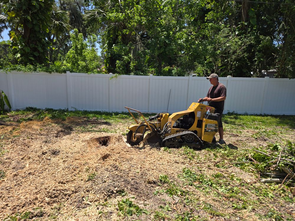 All Photos for Near Me Tree Service, Inc. in DeLand, FL