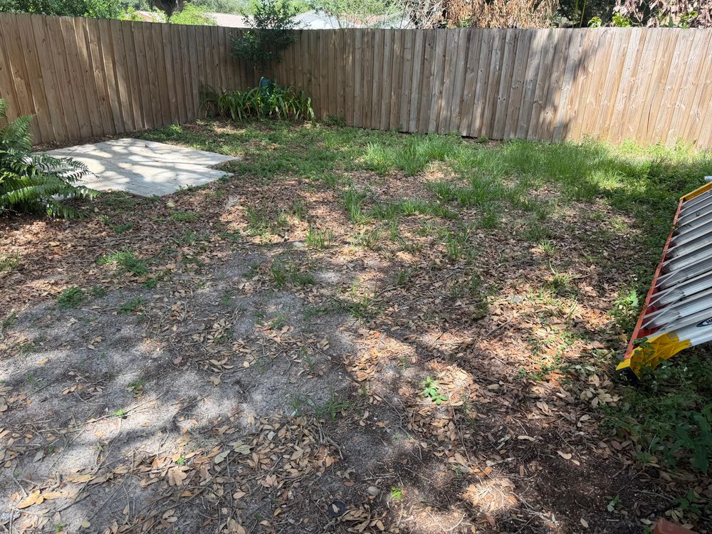 All Photos for The Yardman in Tampa, FL
