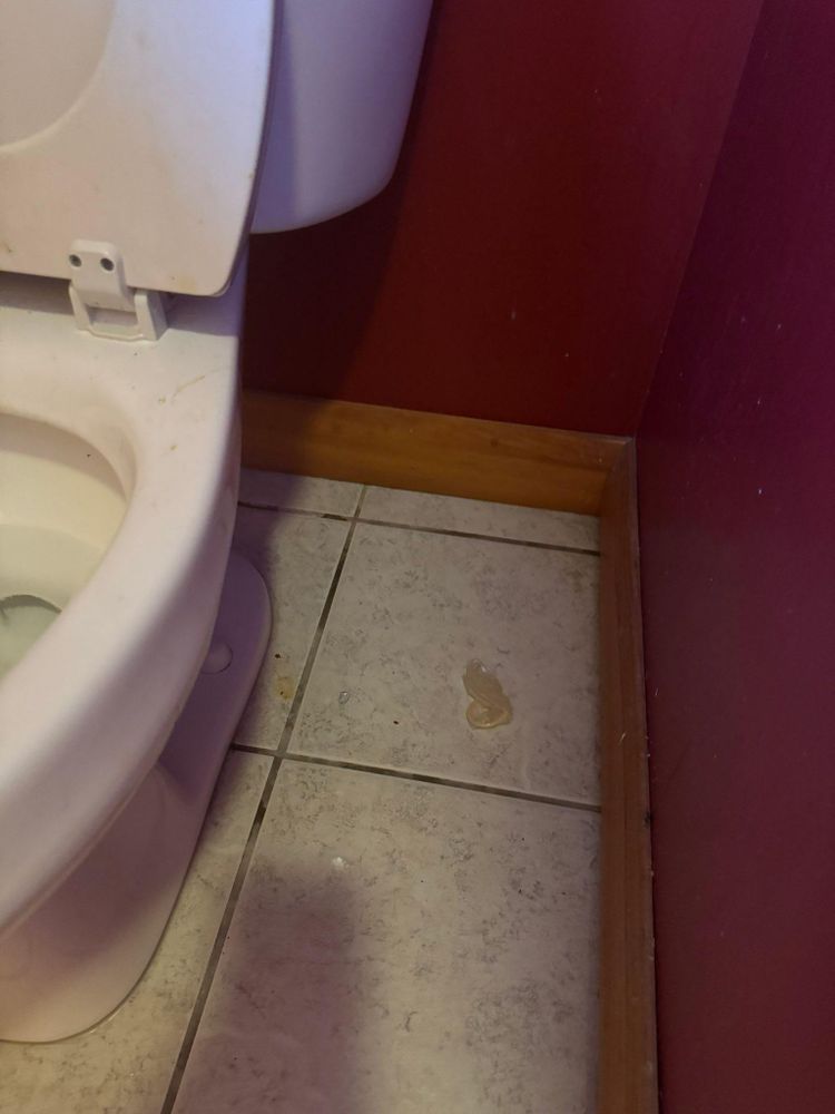 All Photos for A+ Cleaning and Services LLC in Deep Creek Lake, MD 