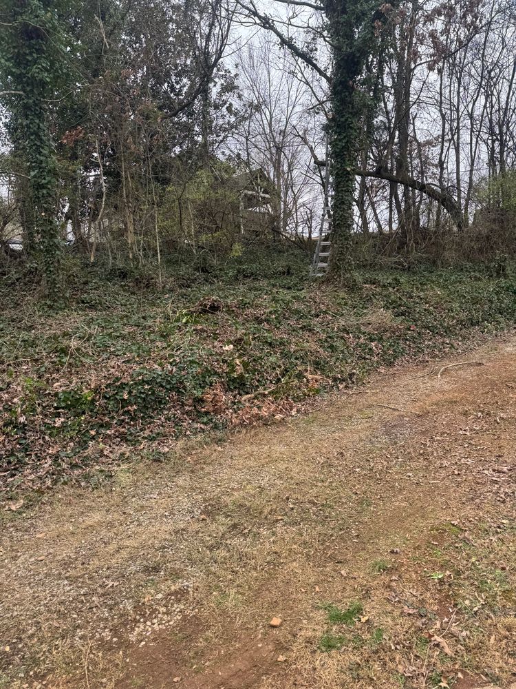 All Photos for R&M Property Maintenance in White Pine, TN