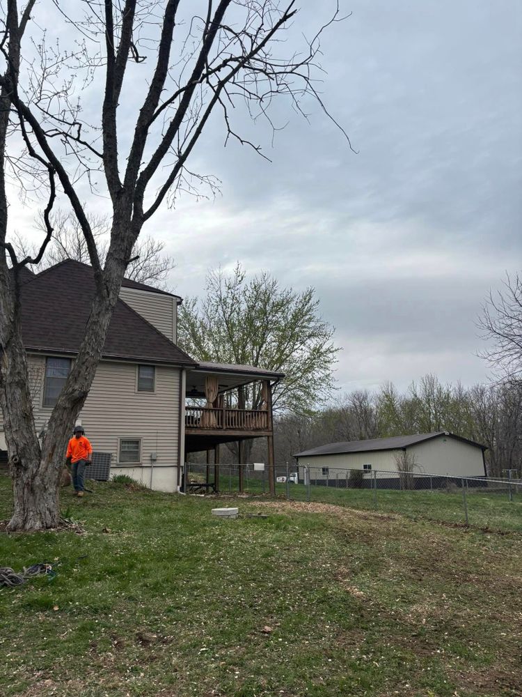 Tree Removal for Cross Family Tree Service in Kearney, MO