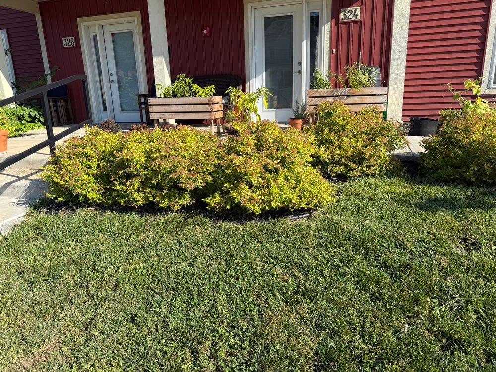 All Photos for Perfect Lawn Solutions LLC in Marshall, WI