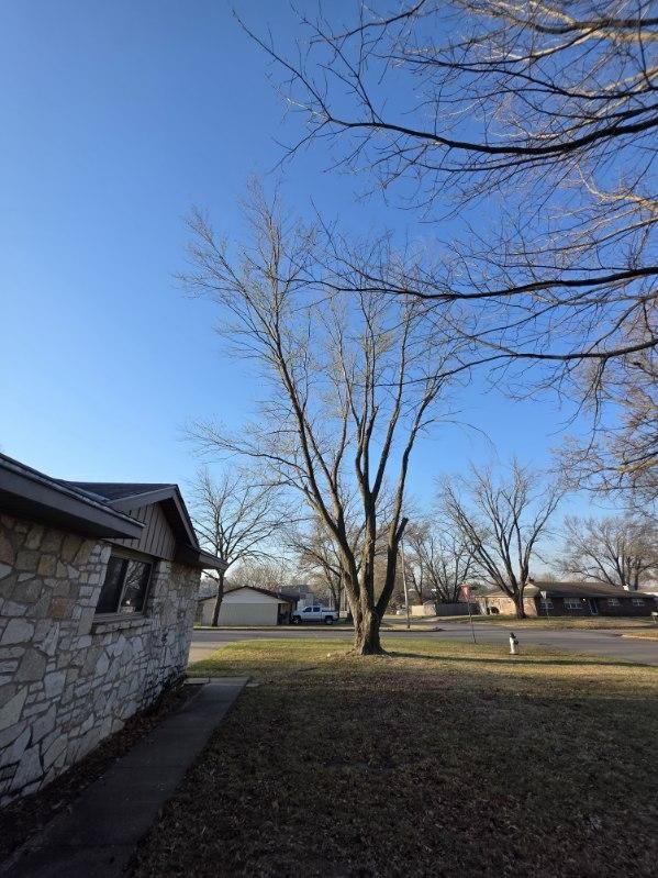 All Photos for Oklahoma Tree Guy in Bartlesville, OK