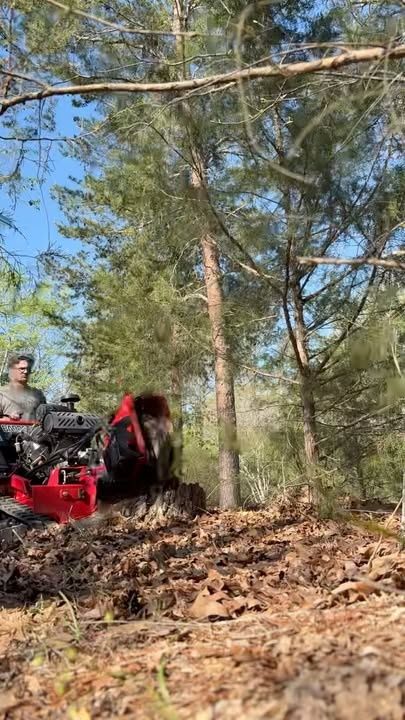 All Photos for Felts Solutions in Little Rock,  AR