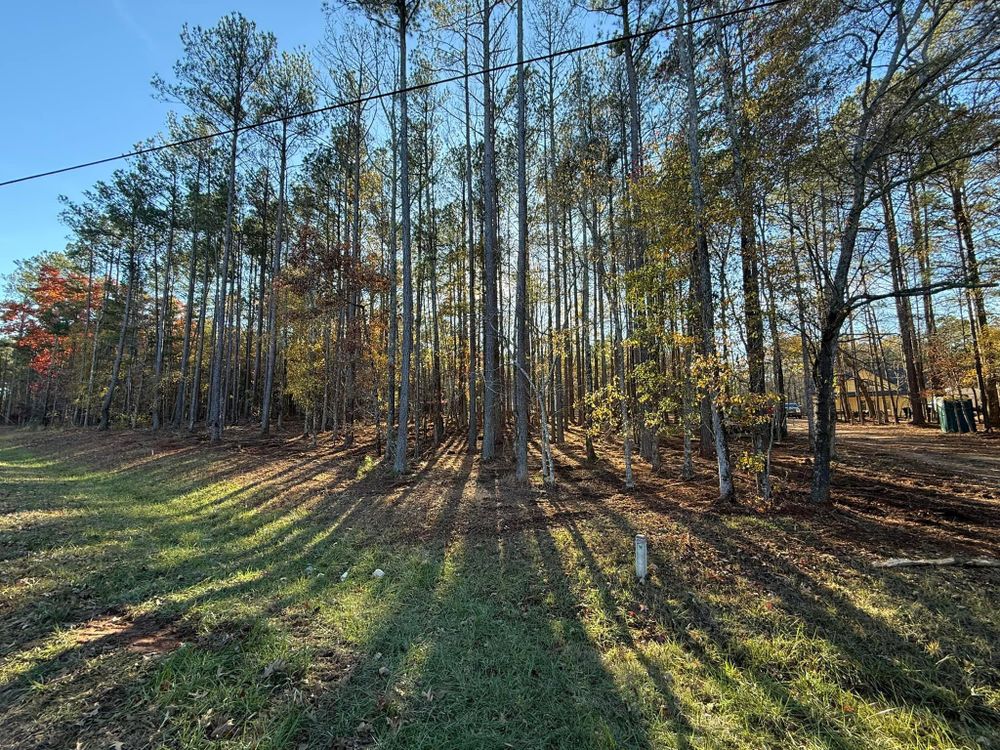 Forestry Mulching for Dirt Pro Land Solutions in Fayetteville, GA